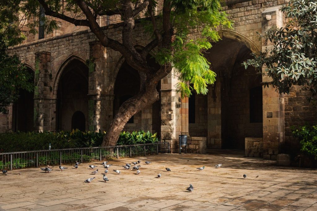 How the Templars Built a Global Network of Hospitals Before Hospitals Existed