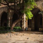 How the Templars Built a Global Network of Hospitals Before Hospitals Existed