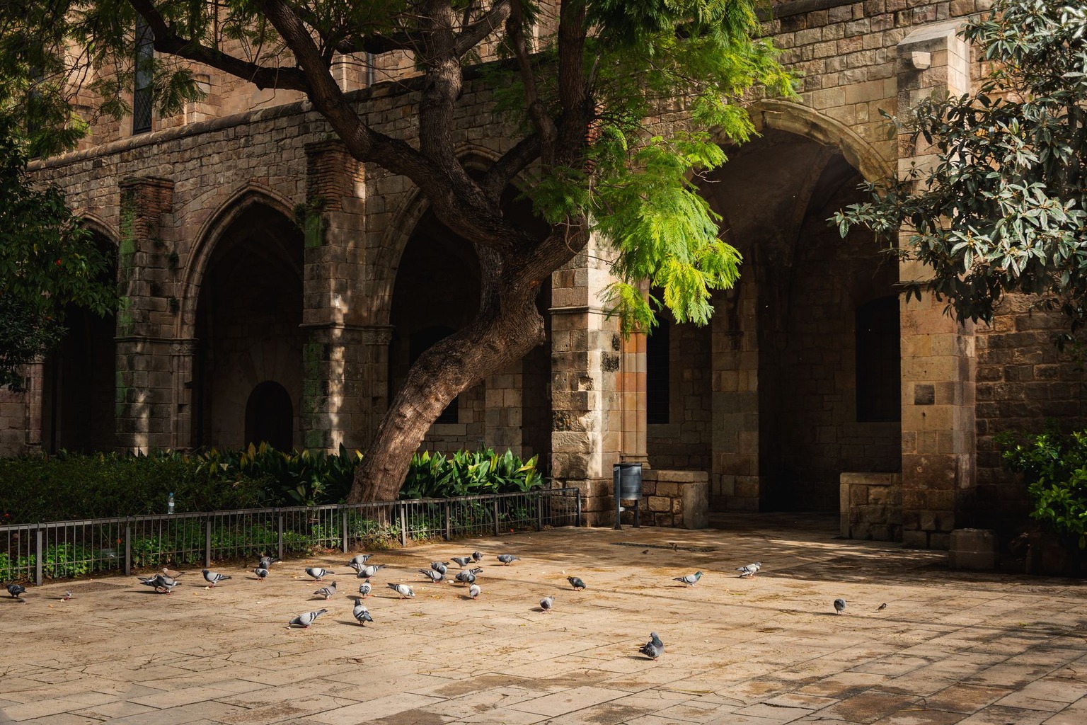 How the Templars Built a Global Network of Hospitals Before Hospitals Existed